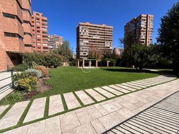 Imagen 20