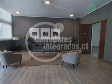 Imagen 11
