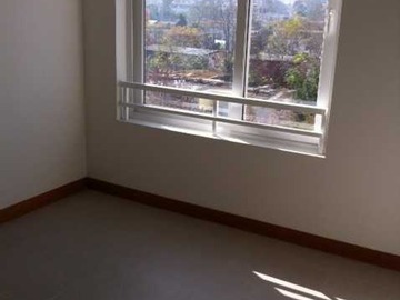 Imagen 11