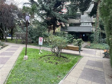 Imagen 39