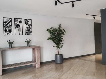 Imagen 18