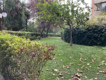 Imagen 35