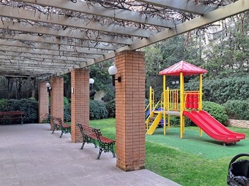 Imagen 11