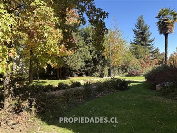 Imagen 29
