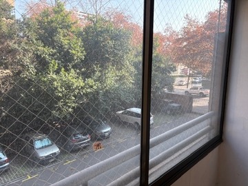 Imagen 5