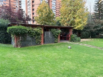 Imagen 11
