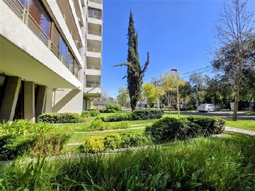 Imagen 30
