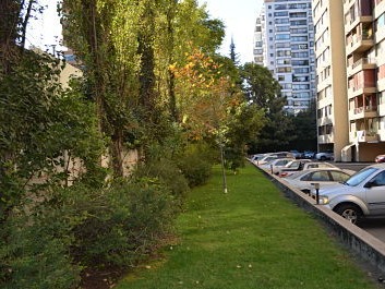Imagen 29