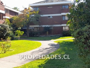 Imagen 10