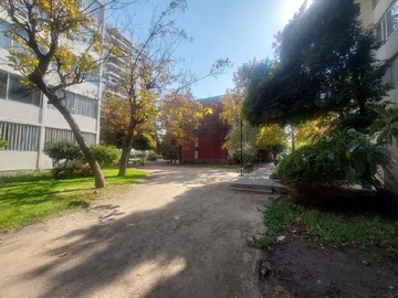 Imagen 19