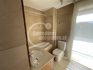 Imagen 6