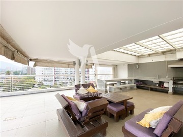 Imagen 23