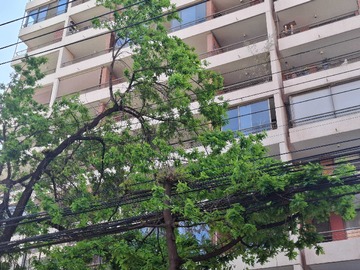 Arriendo Mensual / Departamento / Las Condes