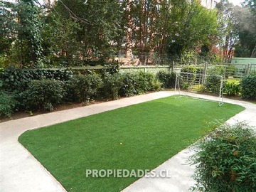Imagen 15