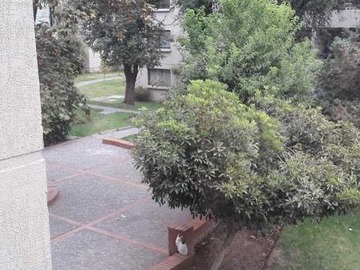 Imagen 19