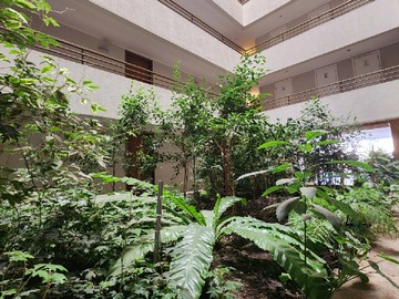 Arriendo Mensual / Departamento / Las Condes