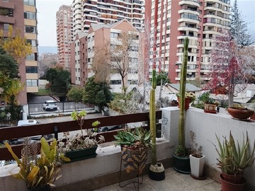 Imagen 14