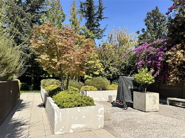 Imagen 25