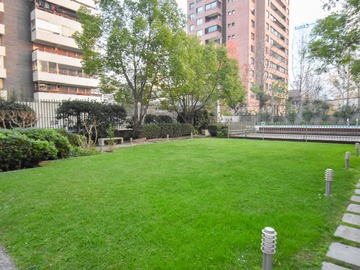 Imagen 15