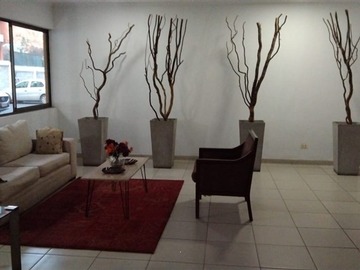 Imagen 6