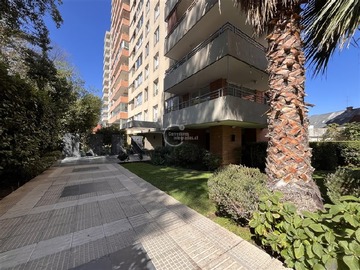 Imagen 19