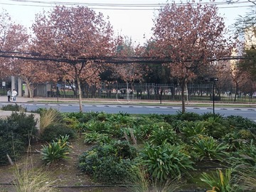 Imagen 18