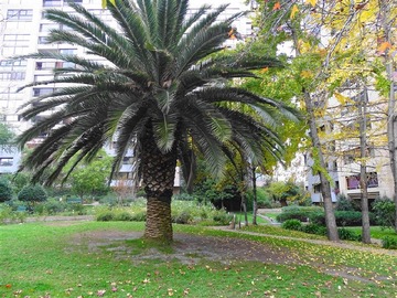 Imagen 28