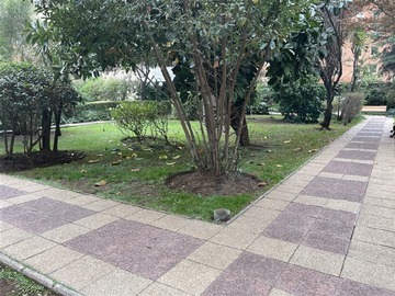 Imagen 36