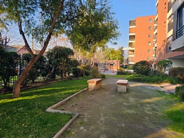 Imagen 29
