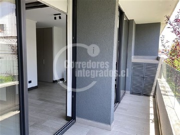 Imagen 6