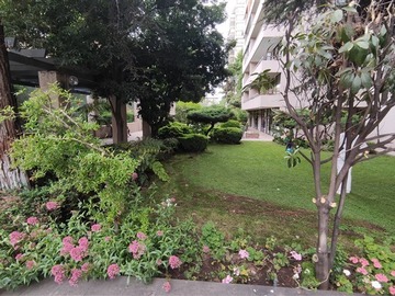 Imagen 9