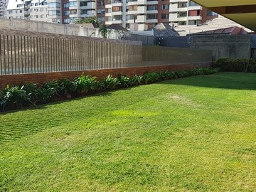 Imagen 16