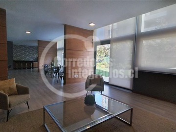 Imagen 12