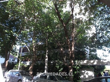 Imagen 7