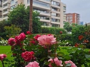 Arriendo Mensual / Departamento / Las Condes