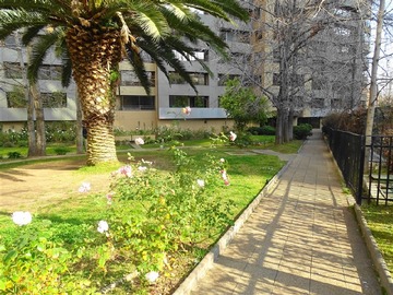 Imagen 31