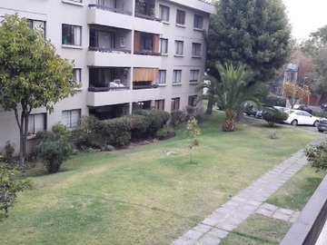 Imagen 23