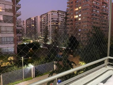 Imagen 11