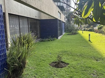 Imagen 11