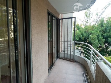 Imagen 9