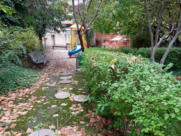 Imagen 18