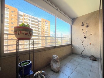 Imagen 5