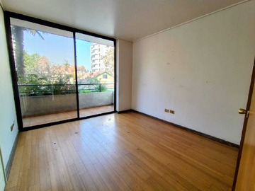 Imagen 19