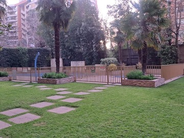 Imagen 13