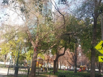 Imagen 16