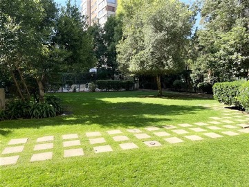 Imagen 11