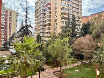 Imagen 14