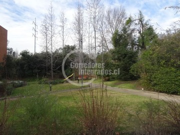 Imagen 17