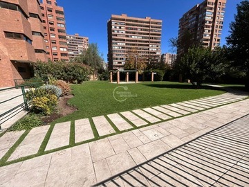 Imagen 19