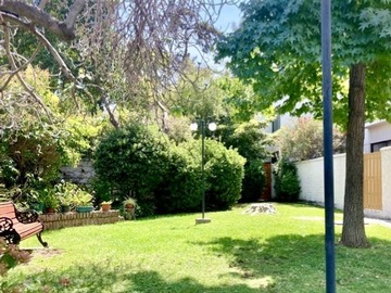 Imagen 12